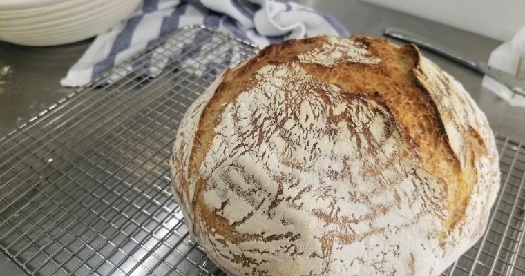 Same-Day Bread